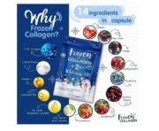 FROZEN COLLAGEN 2 IN 1 Whitening X10 60 CAP